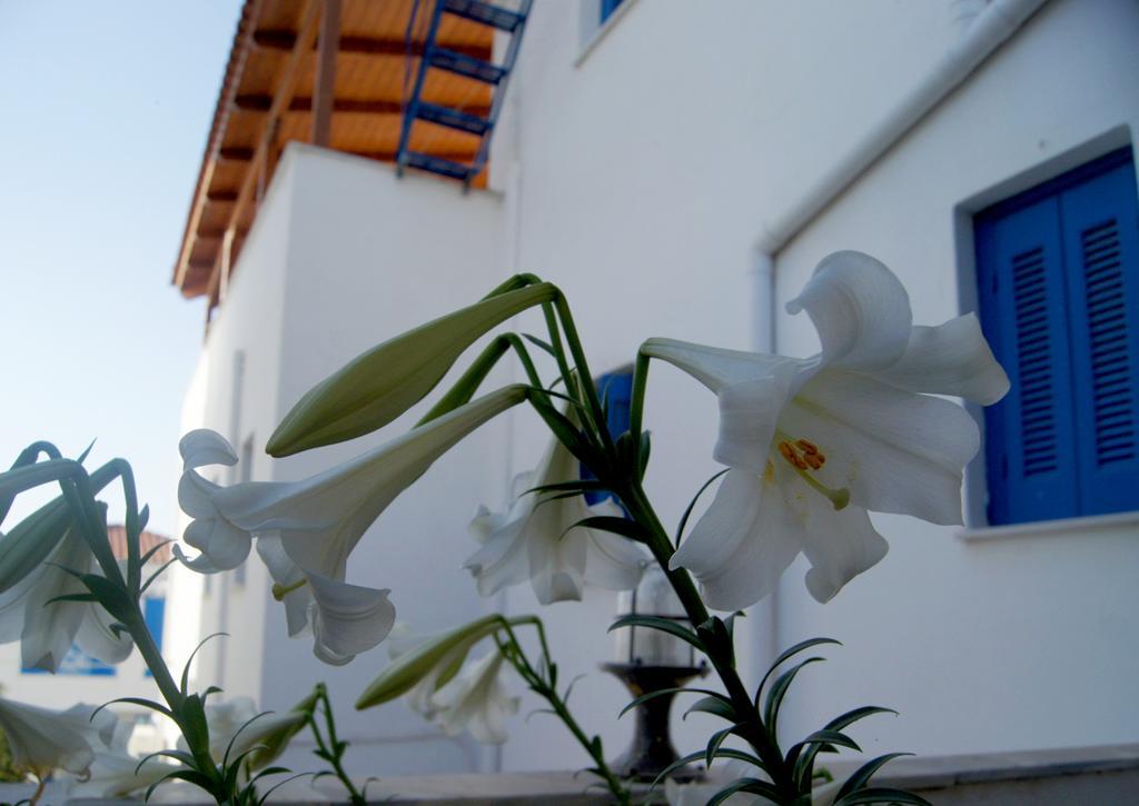 Idroussa Apartment Batsíon Exterior foto
